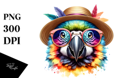 Colorful Baby Macaw, PNG Product Image 1