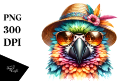 Colorful Baby Macaw, PNG Product Image 1