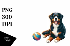 Waterncollor Bernese Mountain Dog Sitting Sunset | Product Image 1