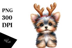 Expressive Baby Yorkshire Terrier PNG Product Image 1