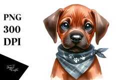 Expressive Rhodesian Ridgeback, PNG Product Image 1
