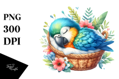 Sublimation|Clipart Product Image 1