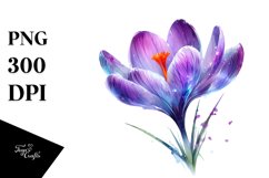 Glossy Like Crocus Watercolor Splash | Clipart Product Image 3