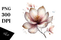 Magnolia, High-Res PNG Product Image 1