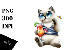Funky Kitten in Beachwear PNG Product Image 1