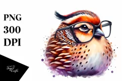 Quail es Watercolor Sticker Clipart Product Image 3