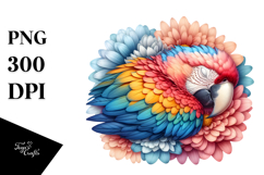 Colorful Pastel Macaw Sleeping Flower | Clipart Product Image 1