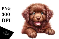 Happy Baby Chesapeake Bay Retriever PNG Product Image 1