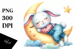 Cute Bunny Wearing Clothes Sleeping Flower, Clipart Product Image 8