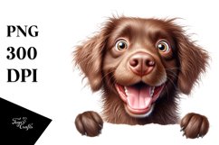 Funny Chesapeake Retriever Watercolor | Sublimation | Product Image 1