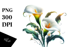 Calla Lily with Material PNG Product Image 1
