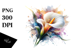Calla Lily PNG Product Image 1