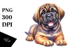 Baby Mastiff, Transparent PNG Product Image 1