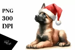 a Cute Sitting Malinois with Santa Hat PNG Product Image 3