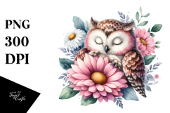 Owl Flower Petals Sleeping | Sublimation | Clipart Product Image 1