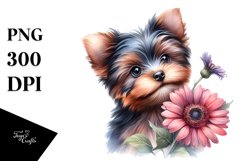 Baby Yorkshire Terrier White Background Clipart Product Image 3