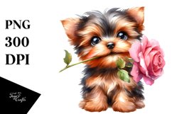 Baby Yorkshire Terrier White Background Clipart Product Image 3