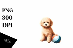 Bichpoo on Beach at Sunset | Sublimation | Clipart Product Image 3