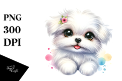 Baby Maltese, Transparent PNG Product Image 1