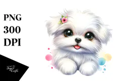 Baby Maltese, Transparent PNG Product Image 1