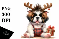 Crazy Haircut Saint Bernard, Summer PNG Product Image 3