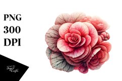 Shiny Begonia | Watercolor Clipart Product Image 3