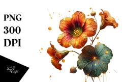 Nasturtium, White PNG Product Image 1