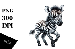 Baby Zebra, High-Quality PNG Product Image 1