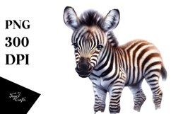 Baby Zebra, High-Quality PNG Product Image 1