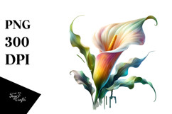 Material Calla Lily Watercolor PNG Product Image 1