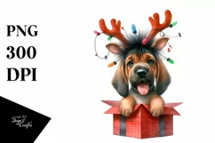 Crazy Haircut Bloodhound, Summer PNG Product Image 1