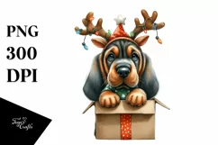 Crazy Haircut Bloodhound, Summer PNG Product Image 1