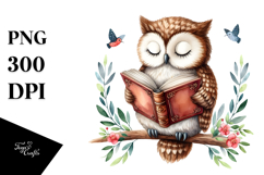 Owl Reading,Book | Clipart Product Image 1