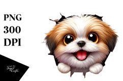 Crazy Looking Shih Tzu | Sublimation | Clipart Product Image 1