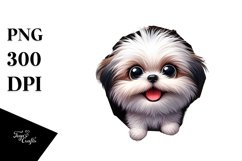 Crazy Looking Shih Tzu | Sublimation | Clipart Product Image 3