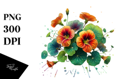 Colorful Nasturtium PNG Product Image 1