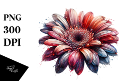 Material Gerbera Watercolor PNG Product Image 1
