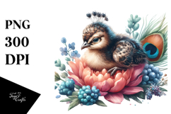 Adorned Baby Peacock Sleeping, Transparent PNG Product Image 1