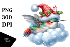 Cute Baby Hummingbird Christmas Clipart Product Image 1