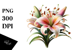Material Lily Watercolor PNG Product Image 1