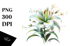 Material Lily Watercolor PNG Product Image 1