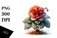 Wooden Stained Begonia | Clipart Product Image 3