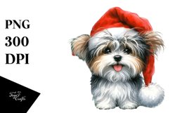 Expressive Baby Havanese PNG Product Image 1