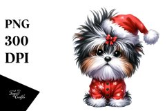 Enthusiastic Baby Havanese PNG Product Image 3