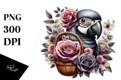 Detailed Gothic Cute Baby Macaw Basket Clipart Product Image 3