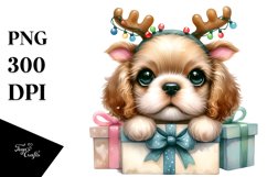 Expressive Baby Cocker Spaniel PNG Product Image 3