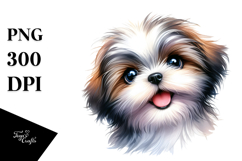 Happy Baby Shih Tzu, PNG Product Image 1