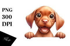 Cute Funny Baby Vizsla Watercolor Clipart Product Image 1