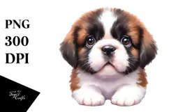 Cute Baby Saint Bernard PNG Product Image 1