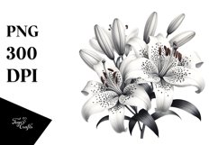 Detailed Lily White Clipart Product Image 3